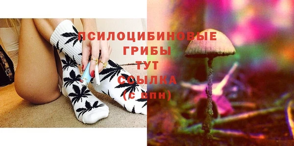 прущие грибы Алексеевка